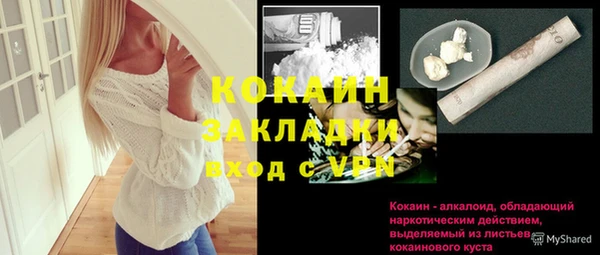 гашик Богородск