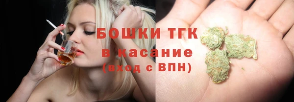 ГАЛЛЮЦИНОГЕННЫЕ ГРИБЫ Богданович