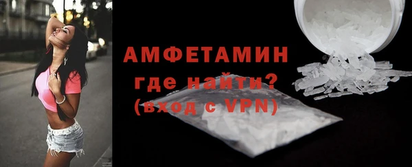 ГАЛЛЮЦИНОГЕННЫЕ ГРИБЫ Богданович