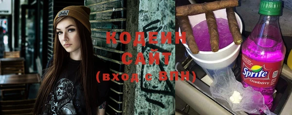 ГАЛЛЮЦИНОГЕННЫЕ ГРИБЫ Богданович