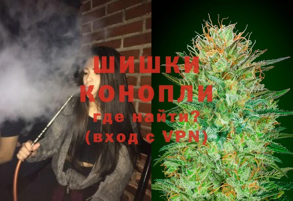ГАЛЛЮЦИНОГЕННЫЕ ГРИБЫ Богданович