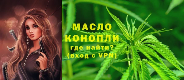 гашик Богородск