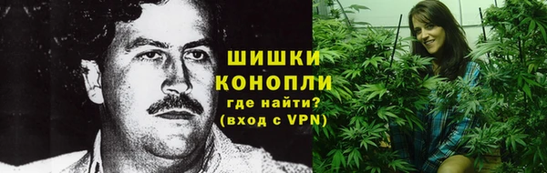 гашик Богородск