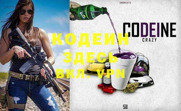 ГАЛЛЮЦИНОГЕННЫЕ ГРИБЫ Богданович