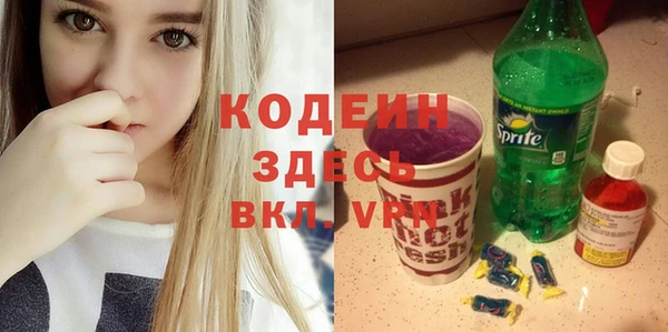 ГАЛЛЮЦИНОГЕННЫЕ ГРИБЫ Богданович