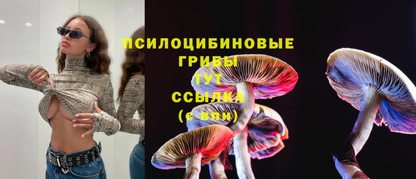 ГАЛЛЮЦИНОГЕННЫЕ ГРИБЫ Богданович