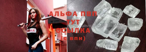 ГАЛЛЮЦИНОГЕННЫЕ ГРИБЫ Богданович
