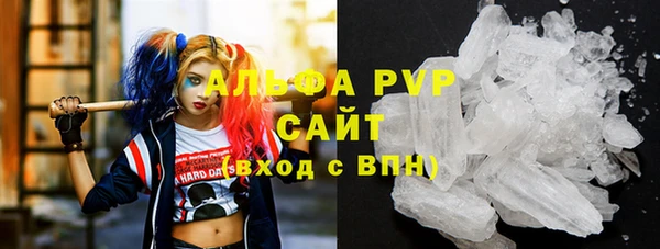 гашик Богородск