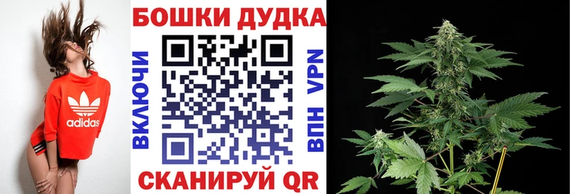 Конопля VHQ  Купить где  Бежецк 